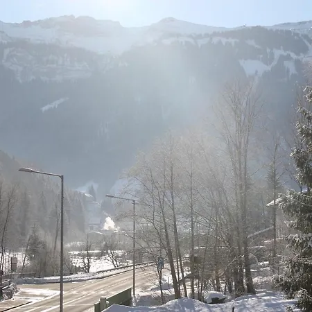 Bergblick-mellau Mit E-ladesaeule Апартаменты